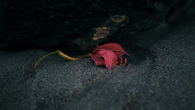 Qué Significa Soñar Con Una Persona Fallecida Y Verla Viva