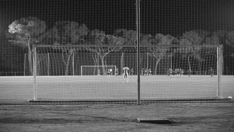 Alternativas A Elitegol