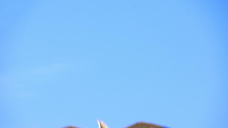 13:13 Significado Espiritual